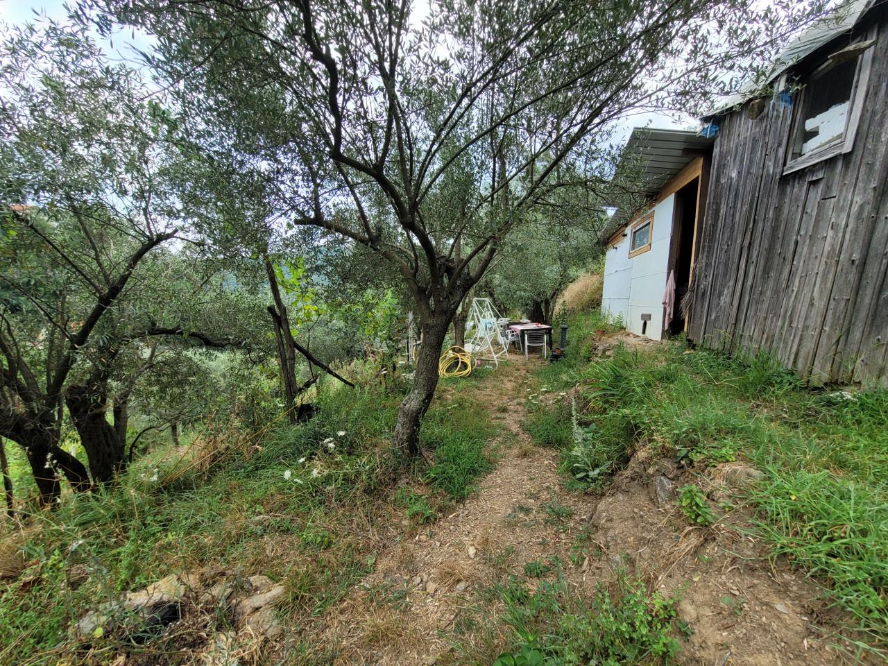 immagine annuncio 10 di 11