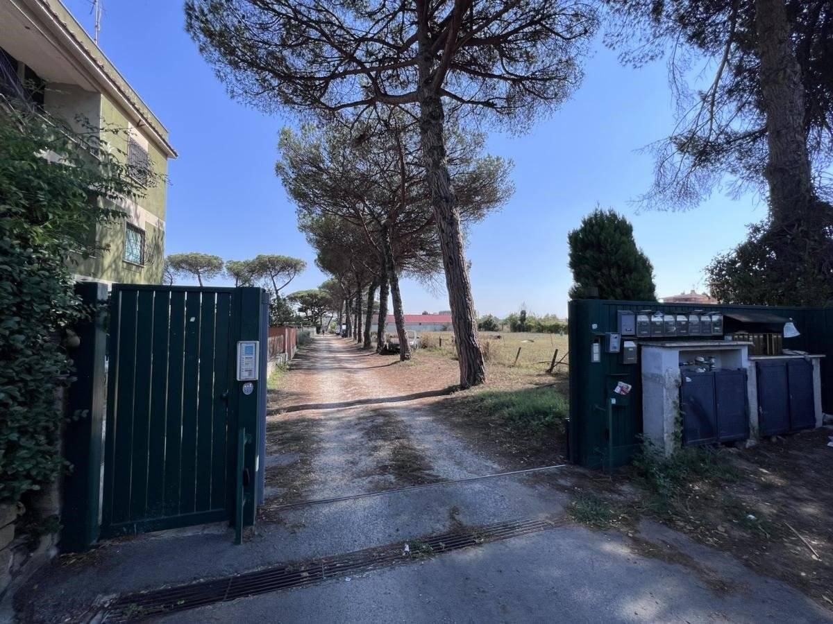 immagine annuncio 6 di 7