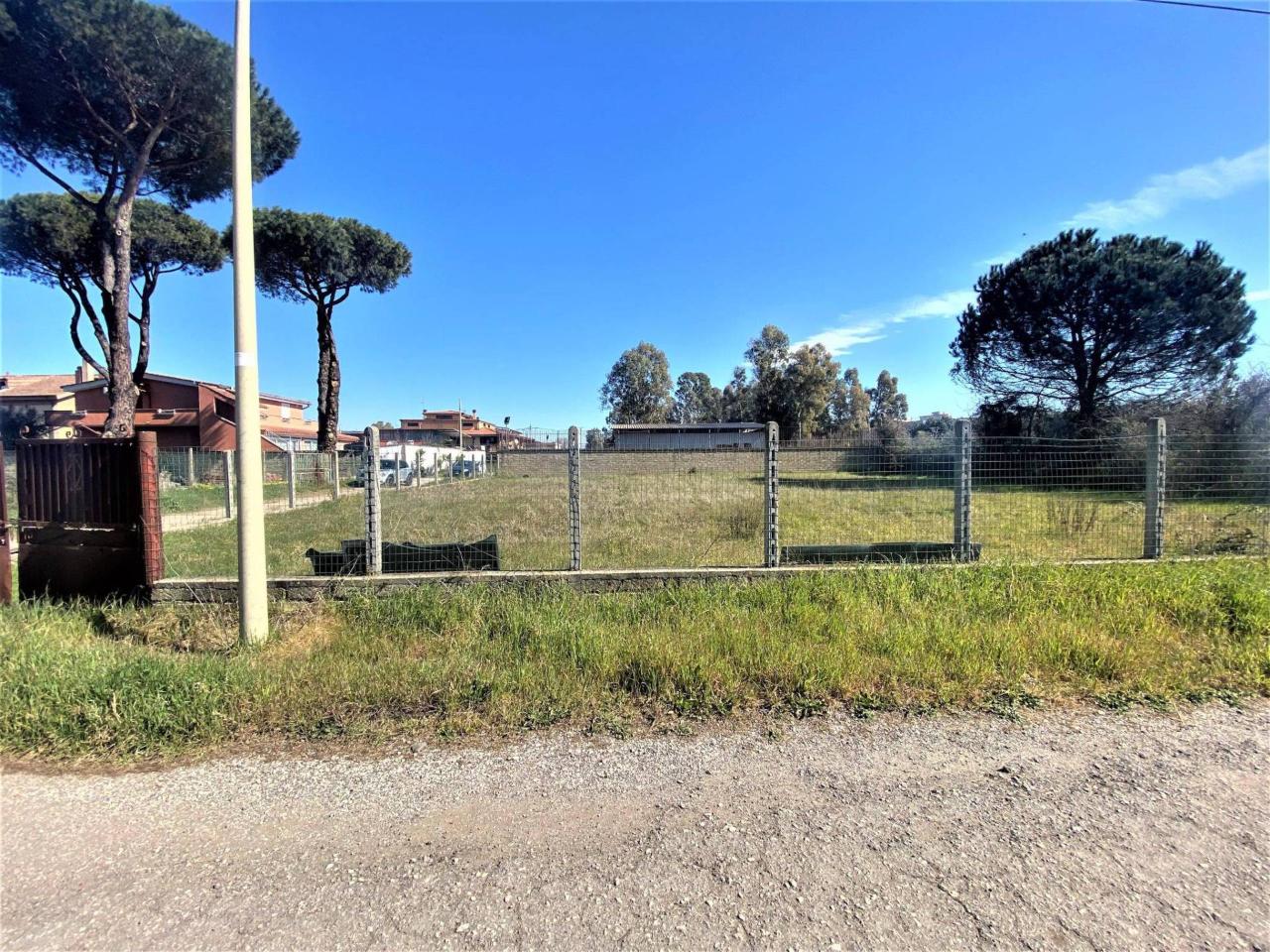 immagine annuncio 3 di 4