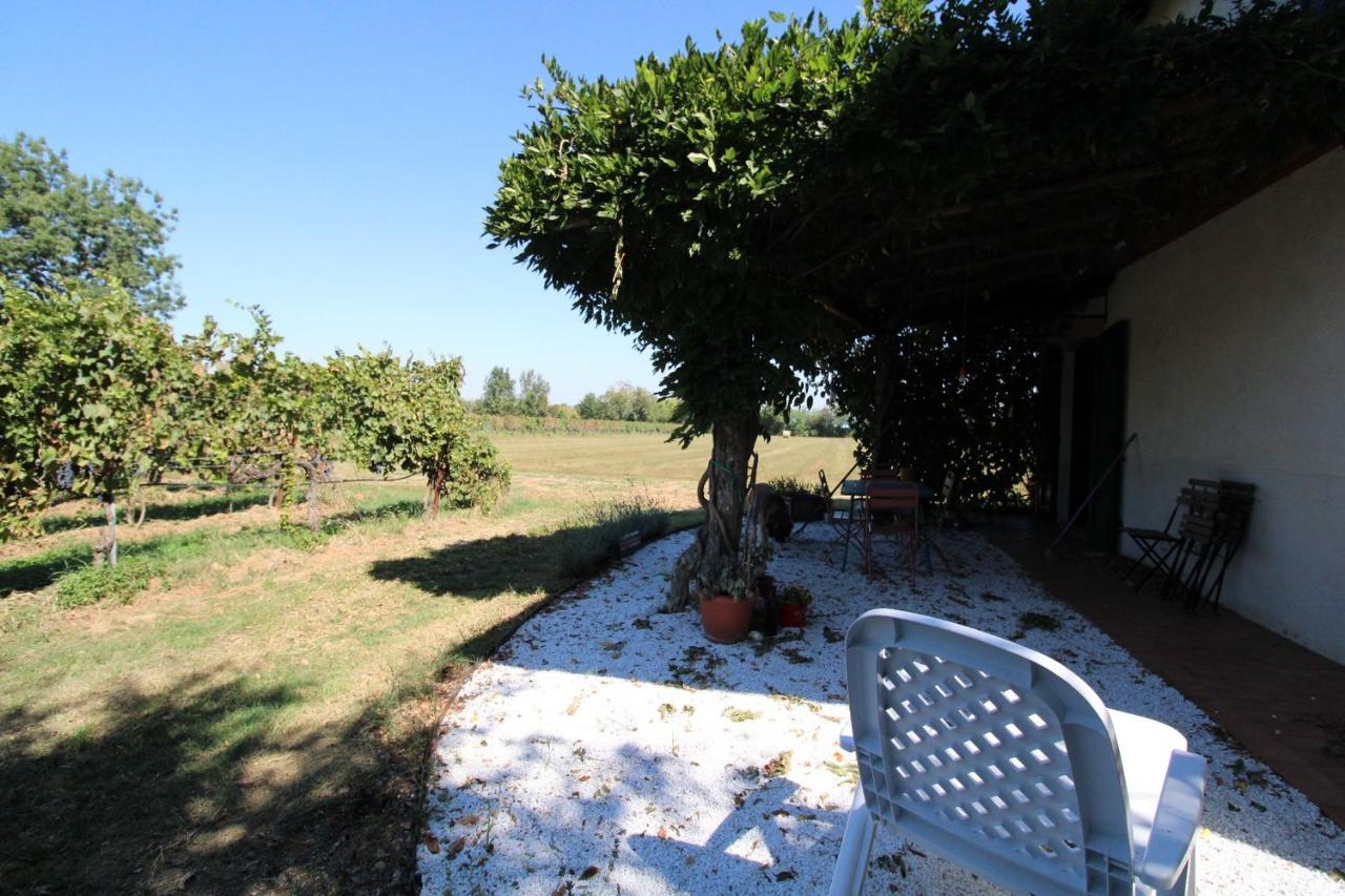 immagine annuncio 11 di 15