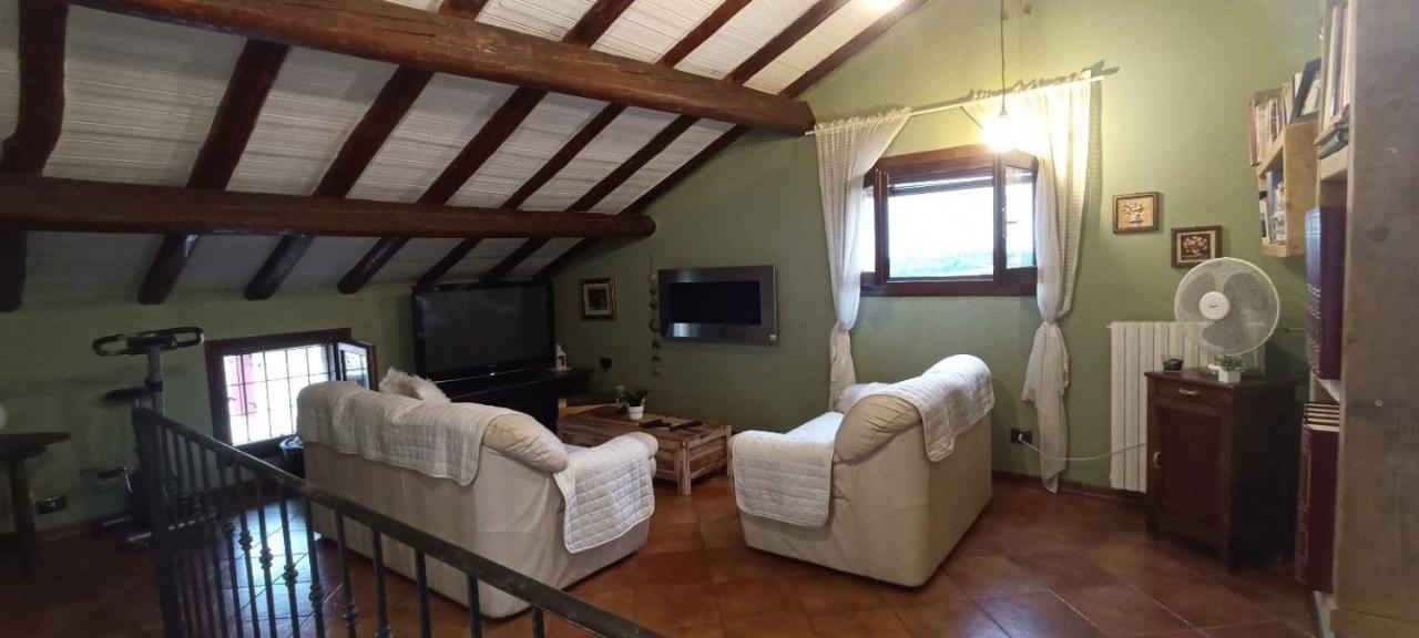 immagine annuncio 2 di 14