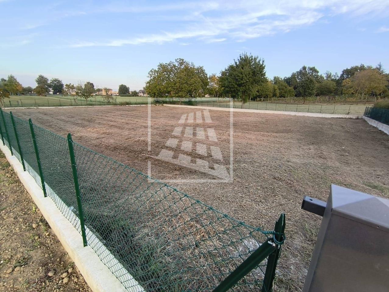 immagine annuncio 6 di 7