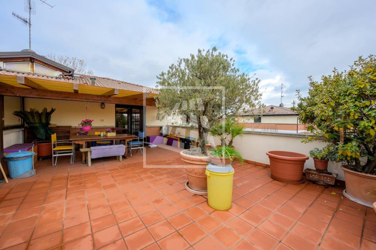 immagine annuncio 12 di 15