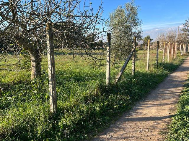 Building land in Via Capodimonte, Nettuno - Photo 1