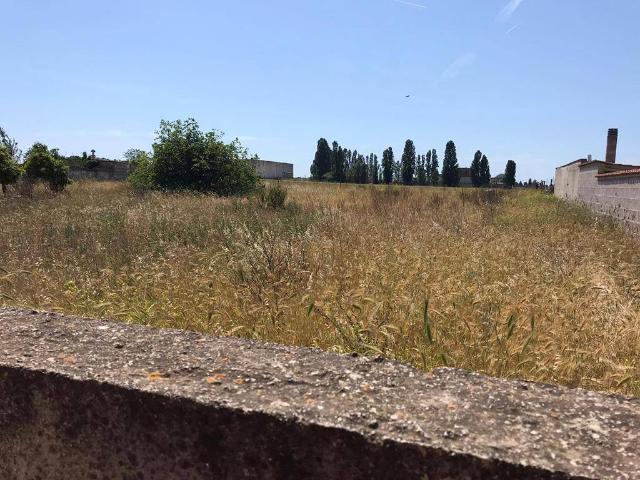 Agrargrundstück in Via Lago di Turano, Nettuno - Foto 1