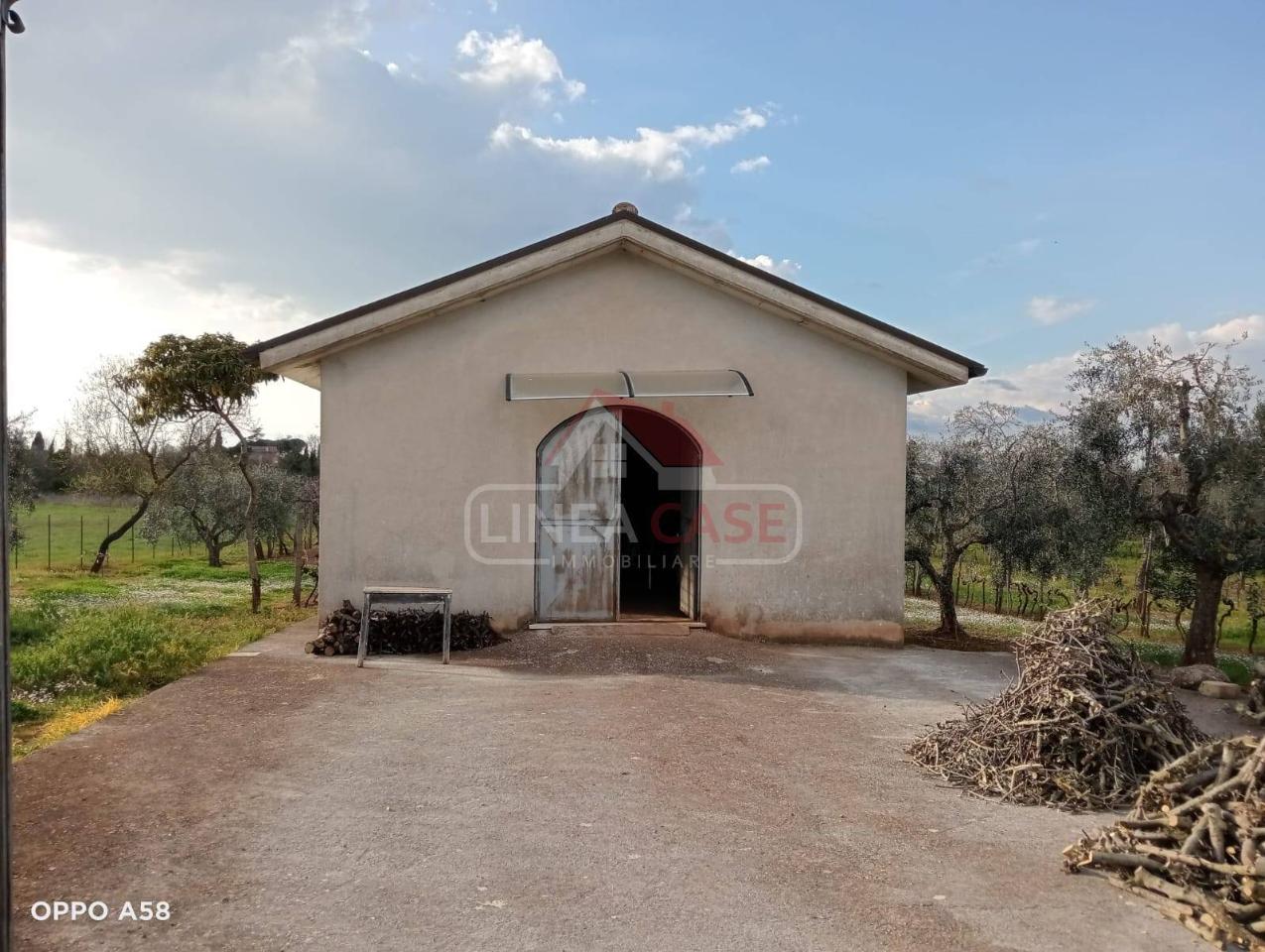 Terreno agricolo in vendita a Gallicano Nel Lazio