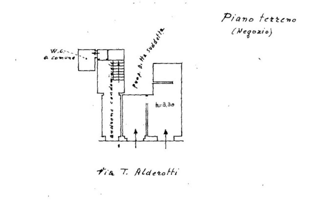 Negozio in Via Taddeo Alderotti 15, Firenze, {3} - Planimetria 1