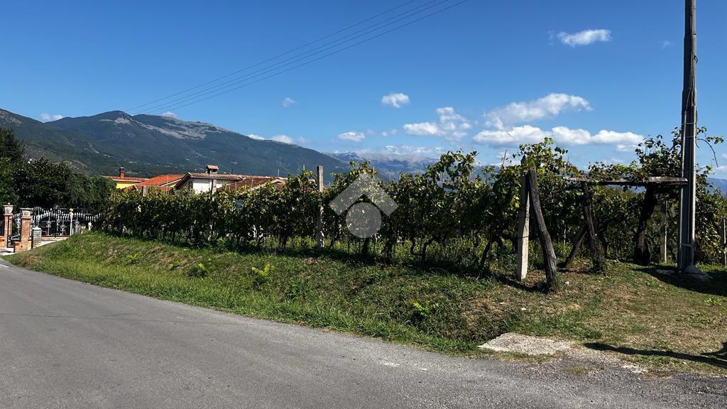 Terreno edificabile in vendita a Monte San Giovanni Campano