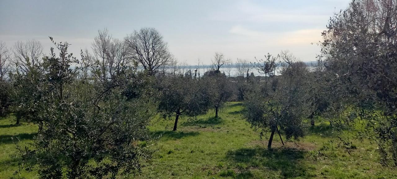 Terreno agricolo in vendita a Desenzano Del Garda