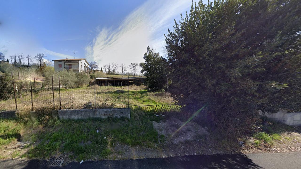immagine annuncio 3 di 11