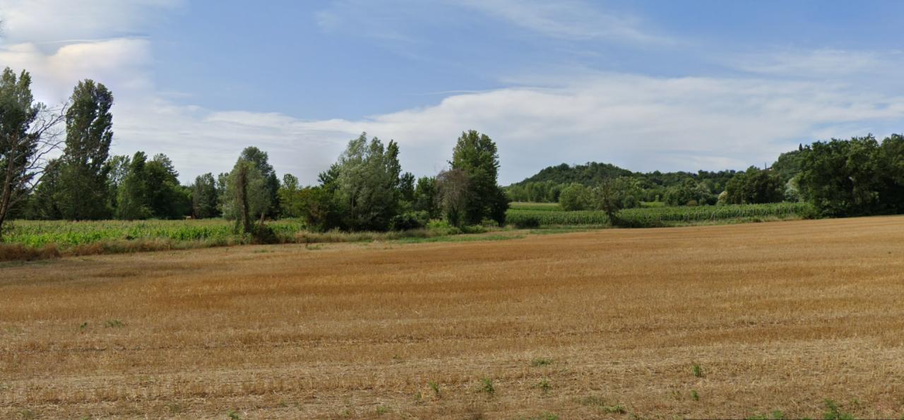immagine annuncio 7 di 8