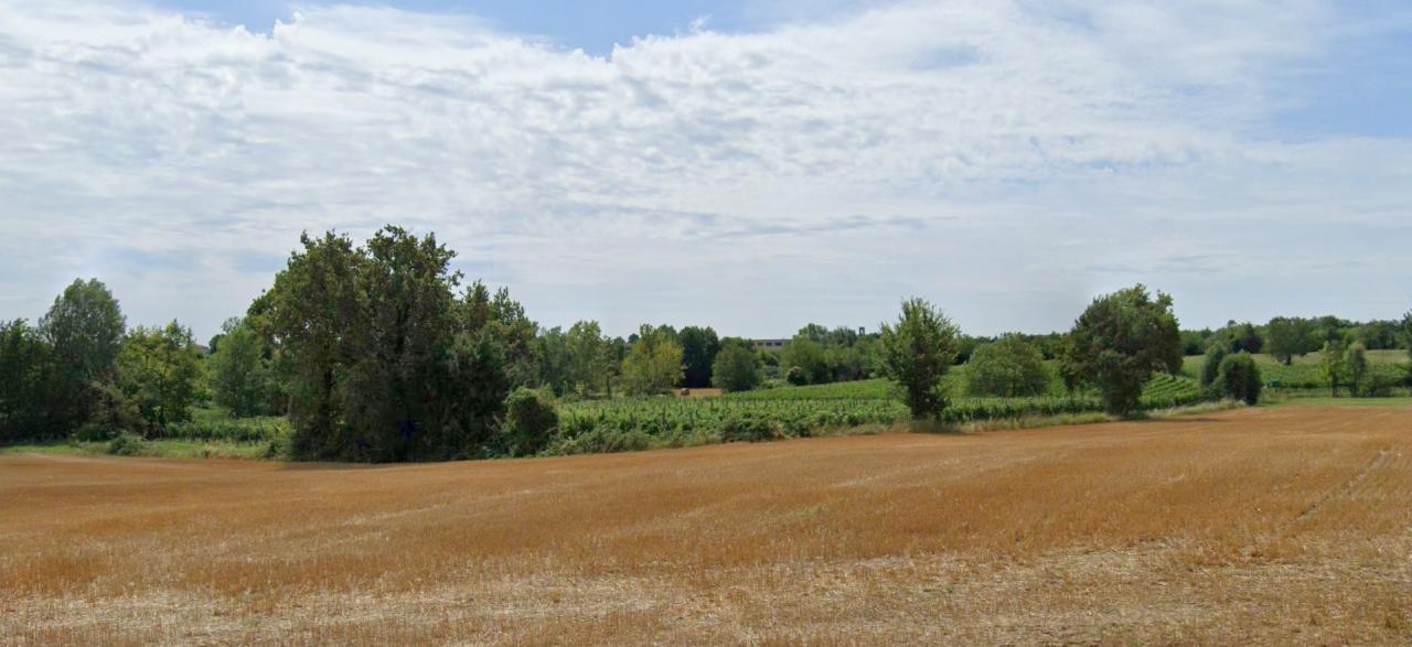 immagine annuncio 1 di 8