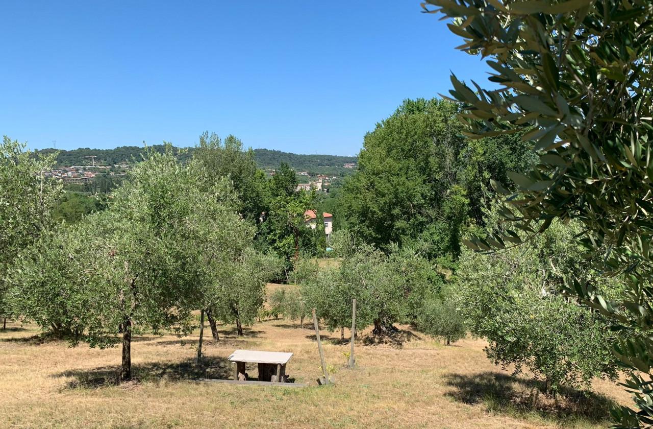 immagine annuncio 6 di 15
