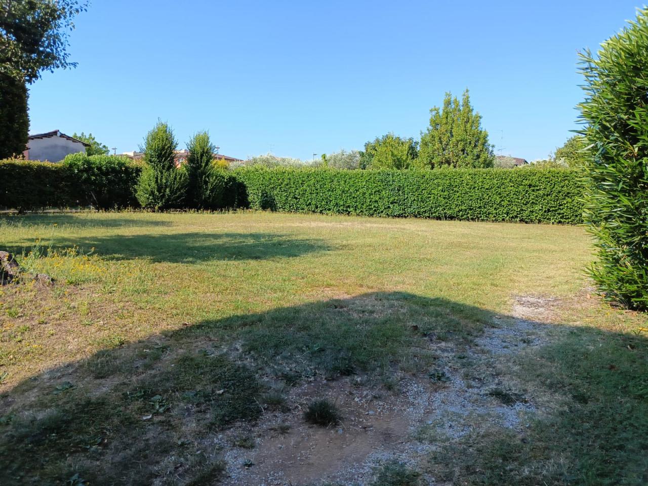immagine annuncio 2 di 6