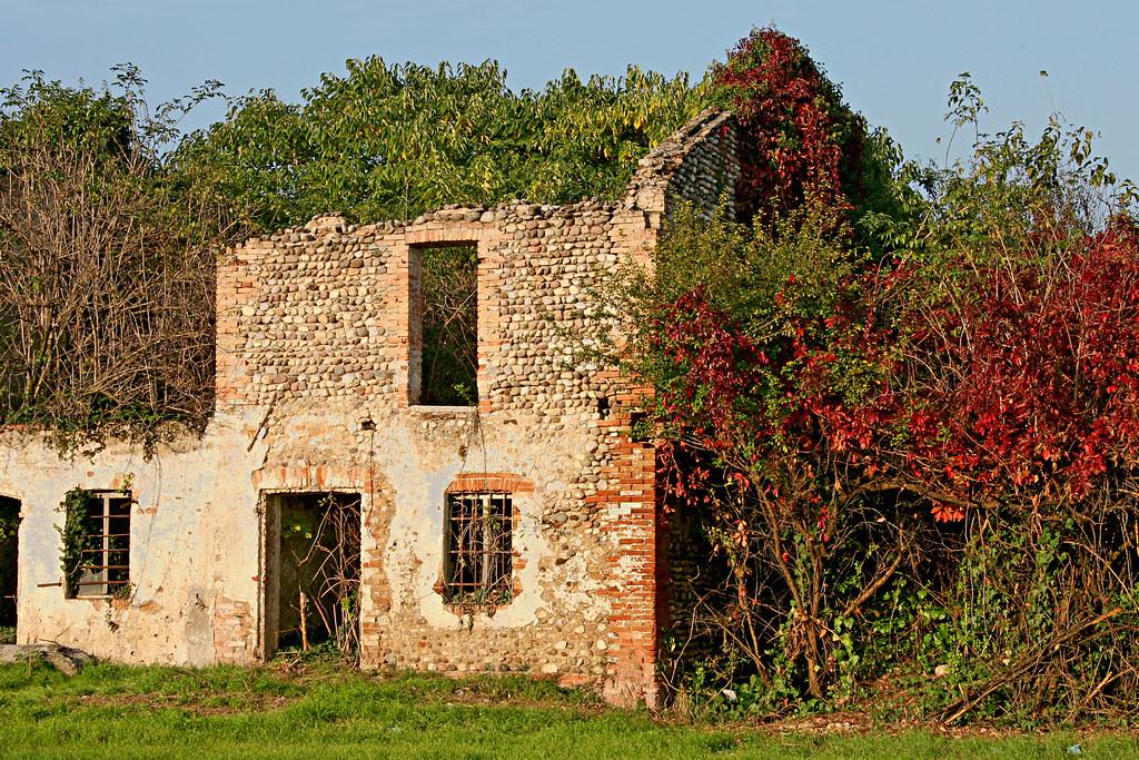 immagine annuncio 1 di 11