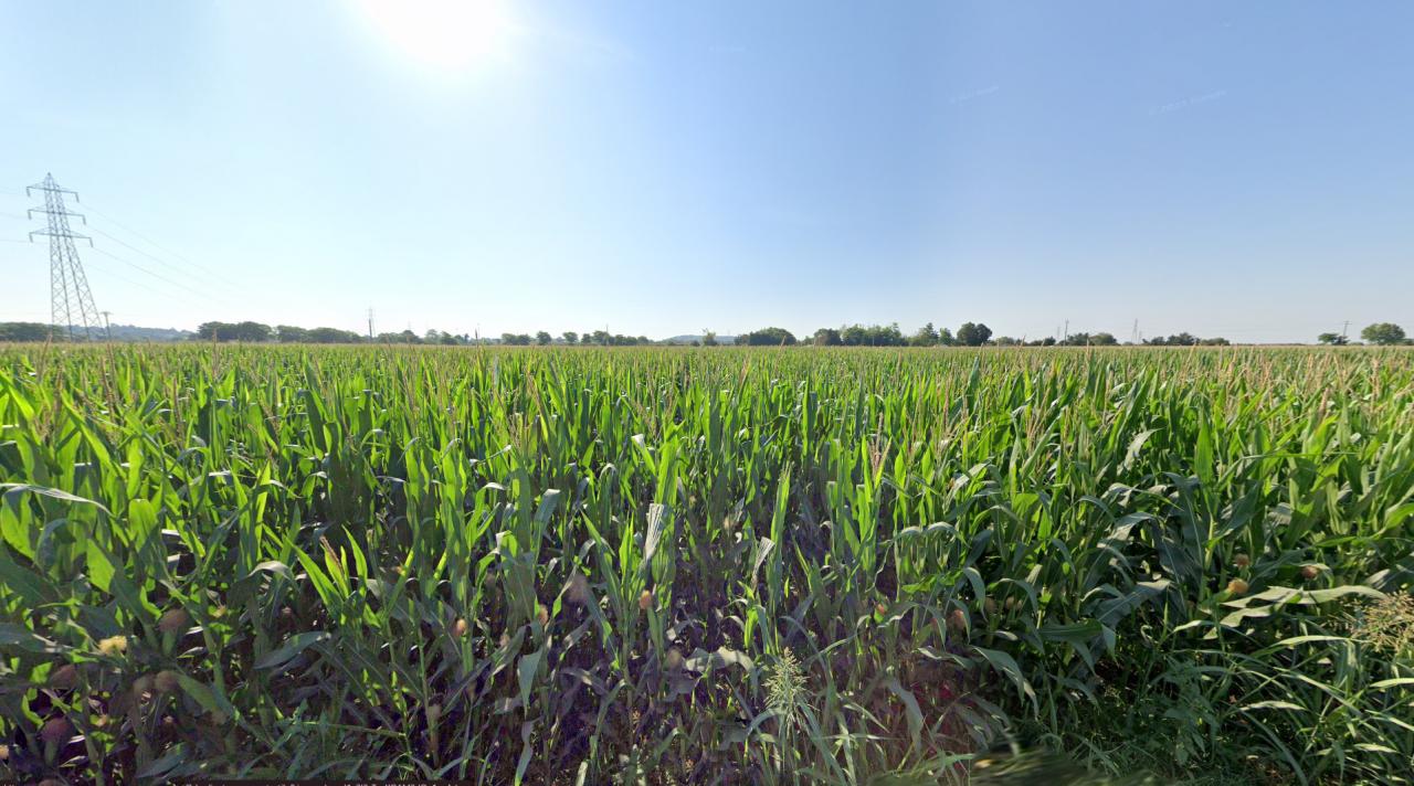 immagine annuncio 4 di 8