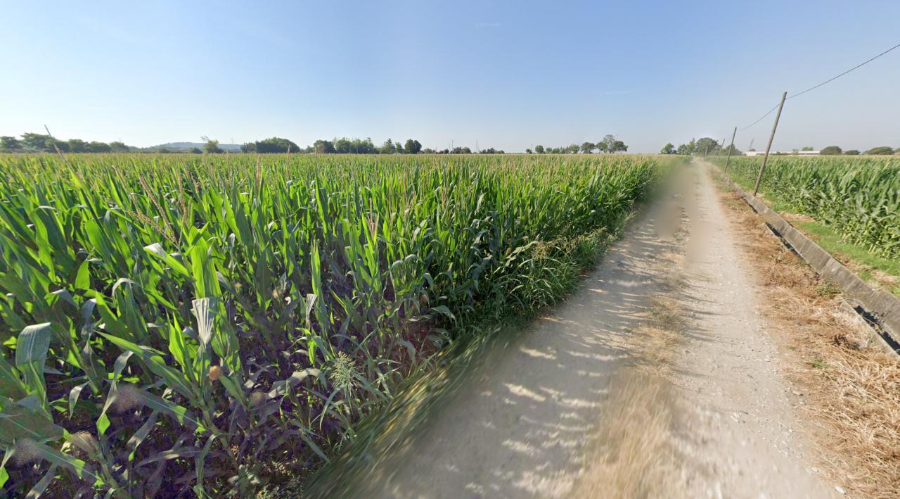 immagine annuncio 1 di 8