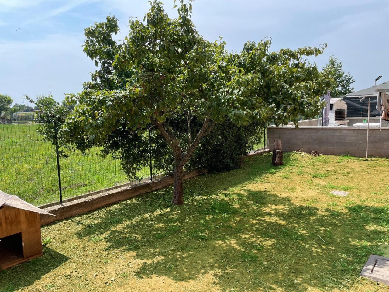 immagine annuncio 6 di 11