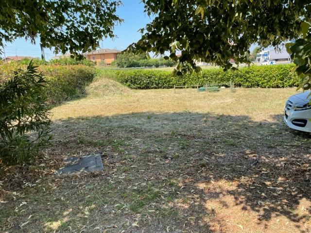 immagine annuncio 11 di 12