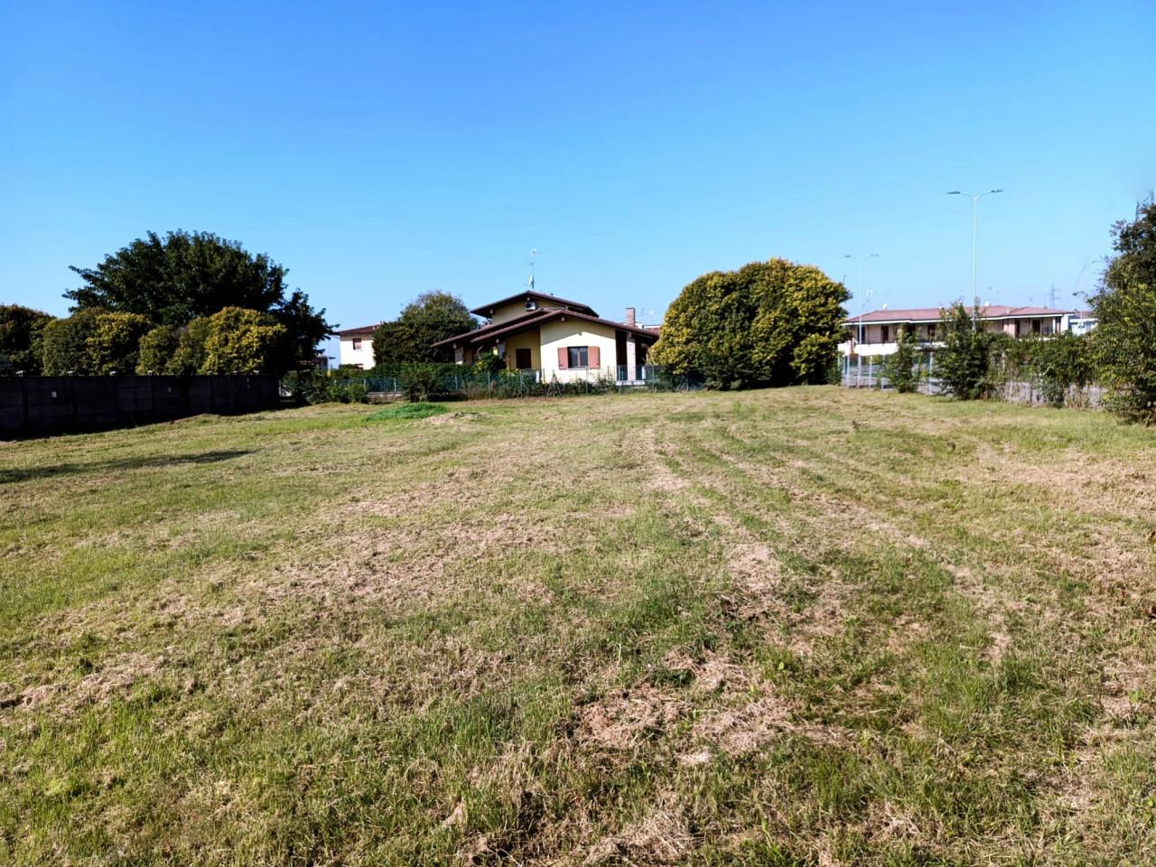 immagine annuncio 5 di 11