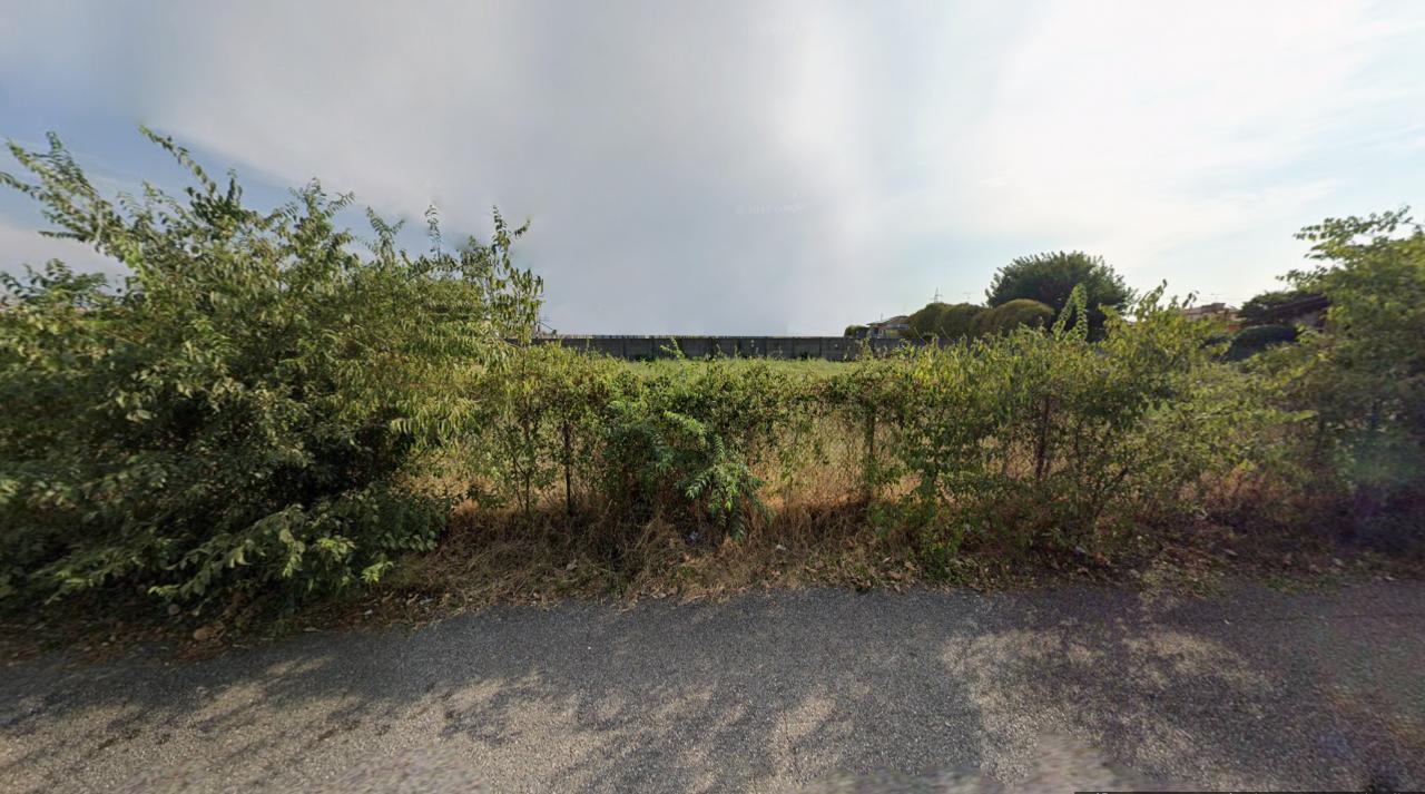 immagine annuncio 3 di 11