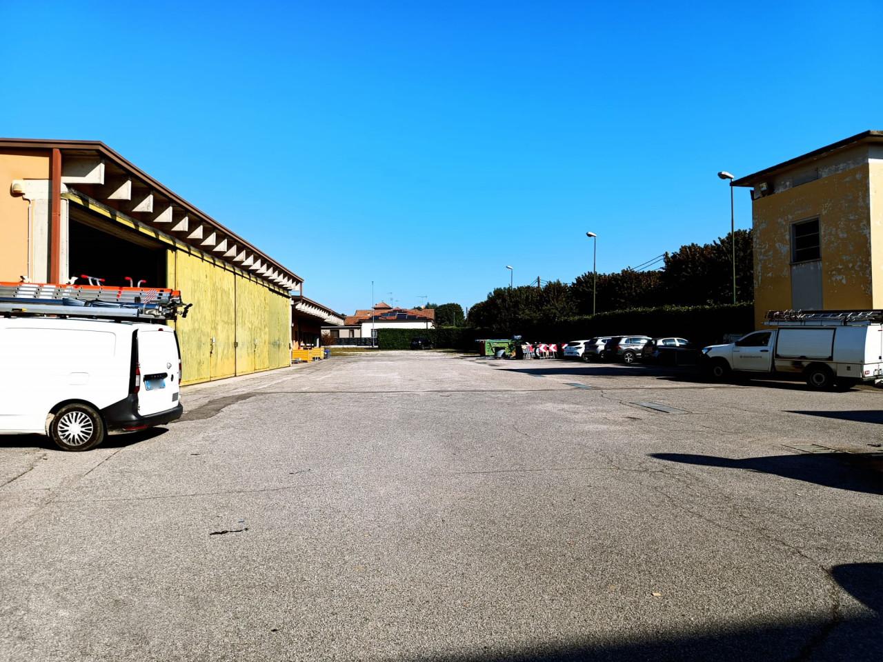 immagine annuncio 5 di 11