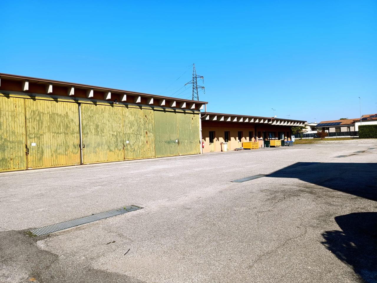 immagine annuncio 4 di 11