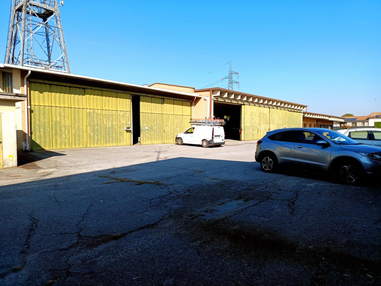 immagine annuncio 10 di 11