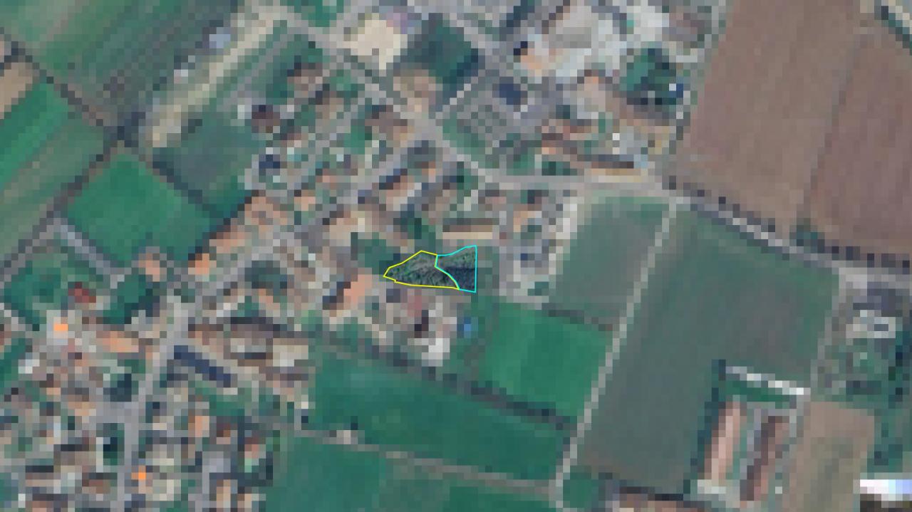 immagine annuncio 4 di 7