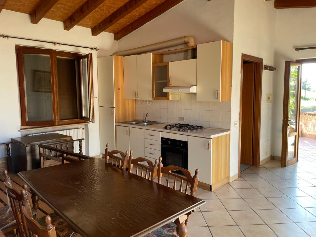 immagine annuncio 4 di 13