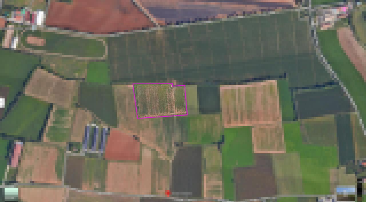 immagine annuncio 3 di 6