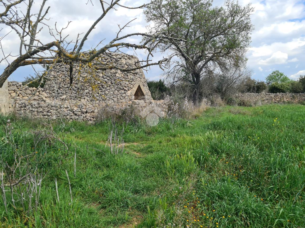 Terreno agricolo in vendita a Gallipoli