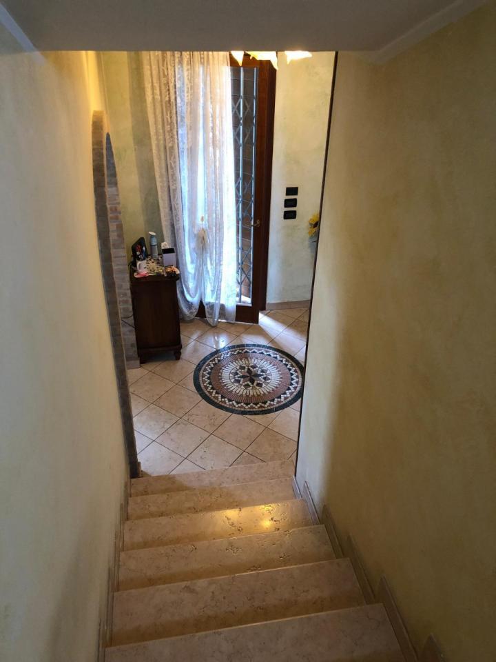 immagine annuncio 2 di 14