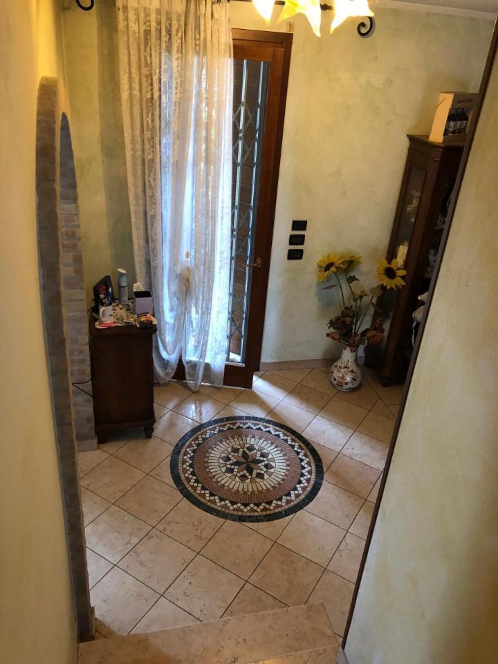 immagine annuncio 1 di 14