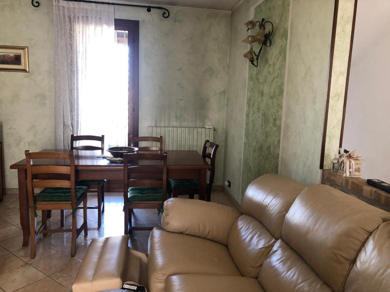 immagine annuncio 12 di 14