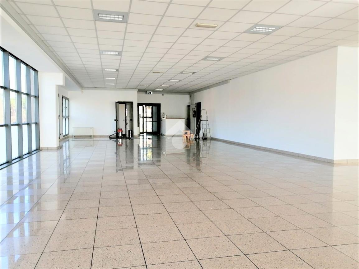 Ufficio in Via Noalese Sud 39, Vigonza, {3} - Foto 2