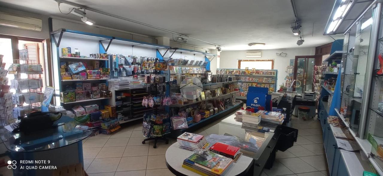Negozio in Via Flaminia 208, Colli al Metauro, {3} - Foto 2