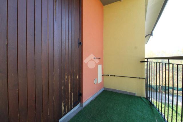 insertion image