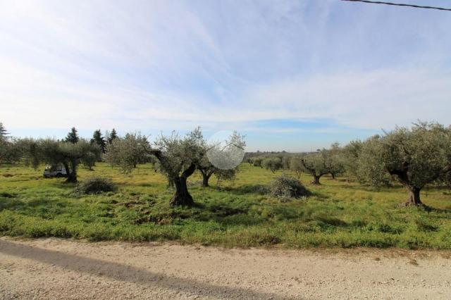 Terreno agricolo in {3}, Via delle Valli 1 - Foto 1