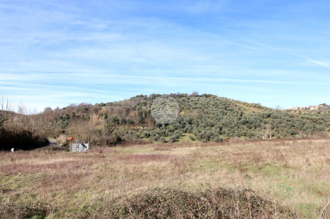 Terreno agricolo in vendita a Montelibretti