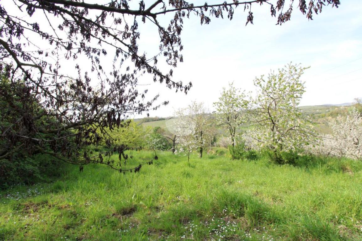 Terreno agricolo in vendita a Montelibretti