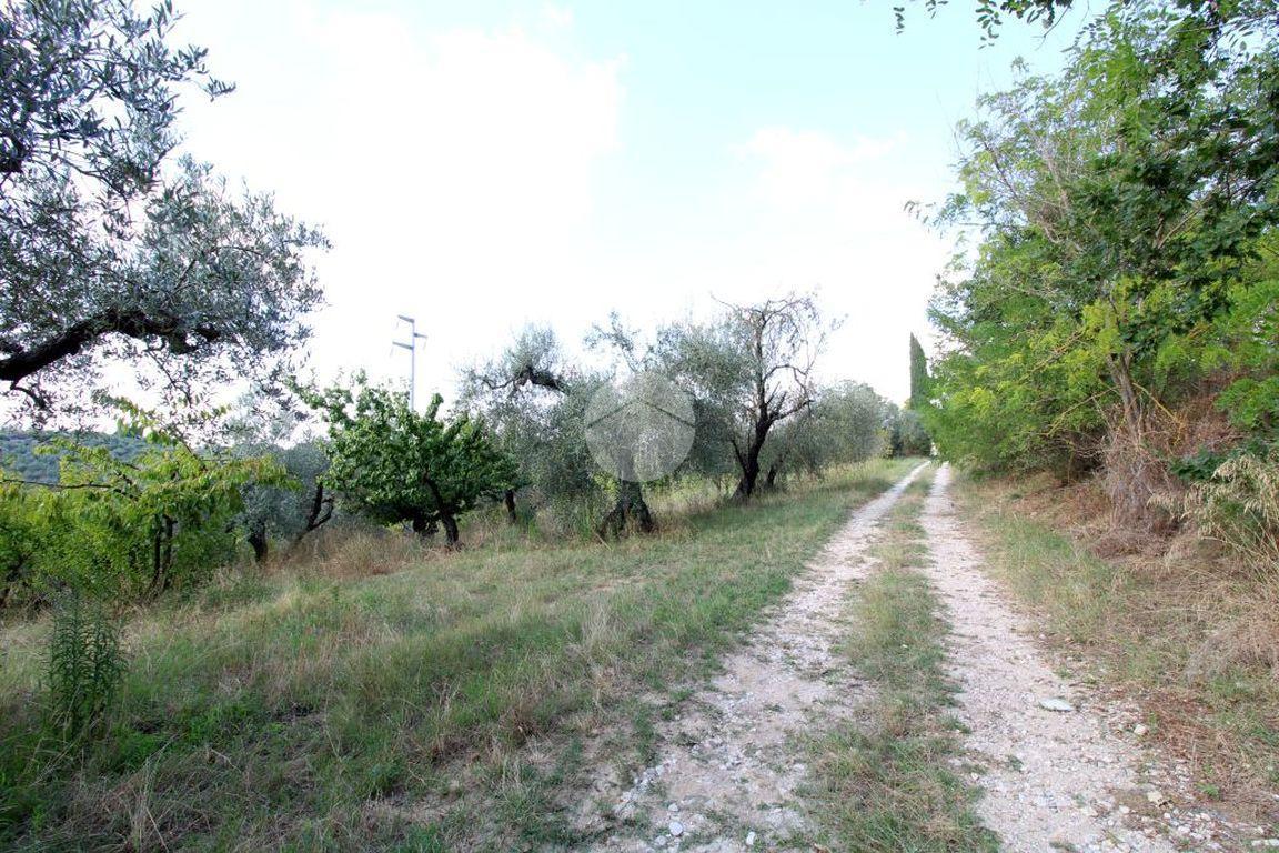 Terreno agricolo in vendita a Montelibretti