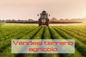 Terreno agricolo in vendita a Grisignano Di Zocco