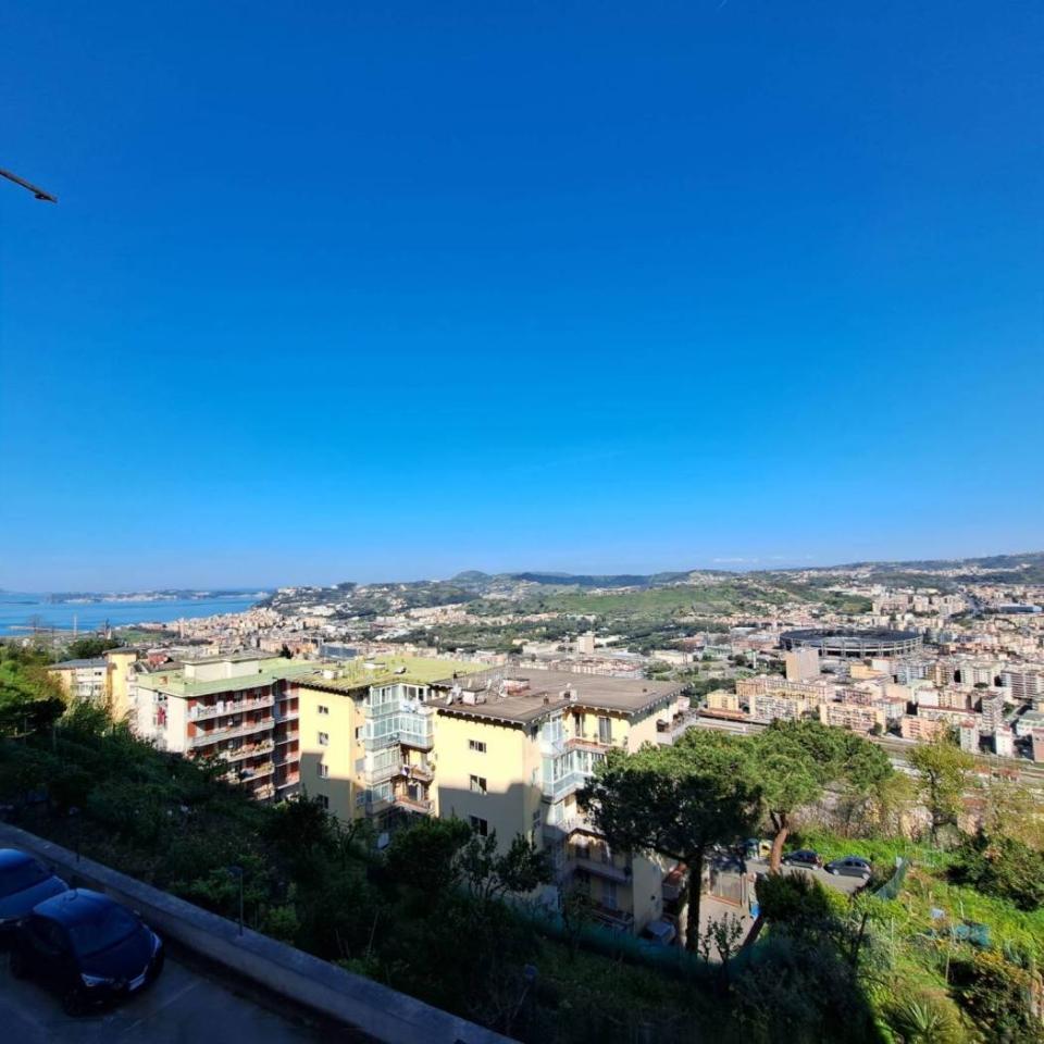 immagine annuncio 9 di 13