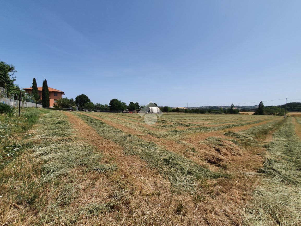 Terreno agricolo in vendita a San Giovanni In Marignano
