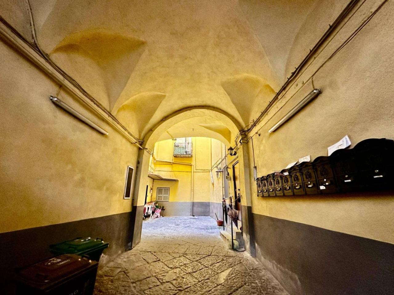 immagine annuncio 12 di 14
