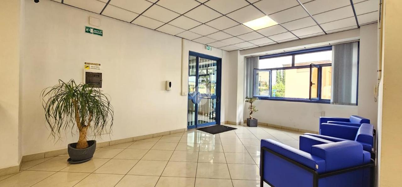 Ufficio in Via di Tor Vergata 440, Roma, {3} - Foto 1