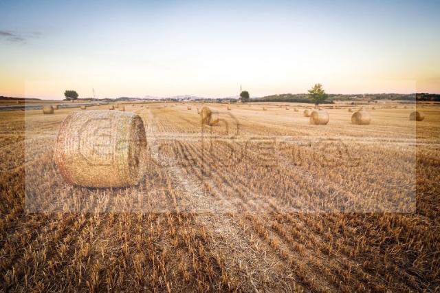 Terreno agricolo in Lungargine Donati, Padova - Foto 1