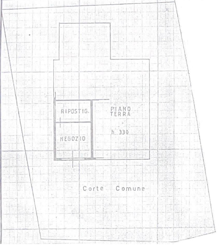Negozio in Via Castellana, Martellago, {3} - Planimetria 1