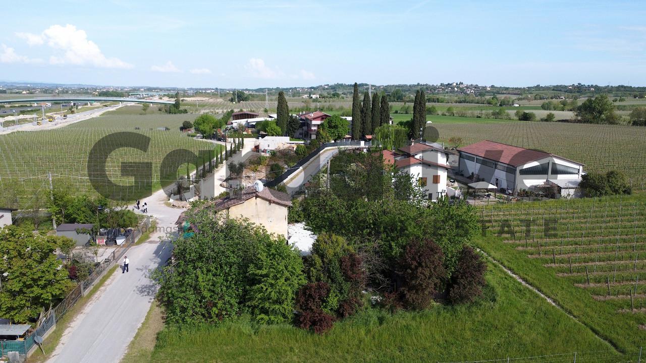 immagine annuncio 5 di 12
